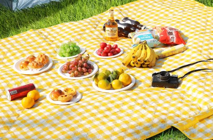 Types and Applications of Outdoor Picnic Mats