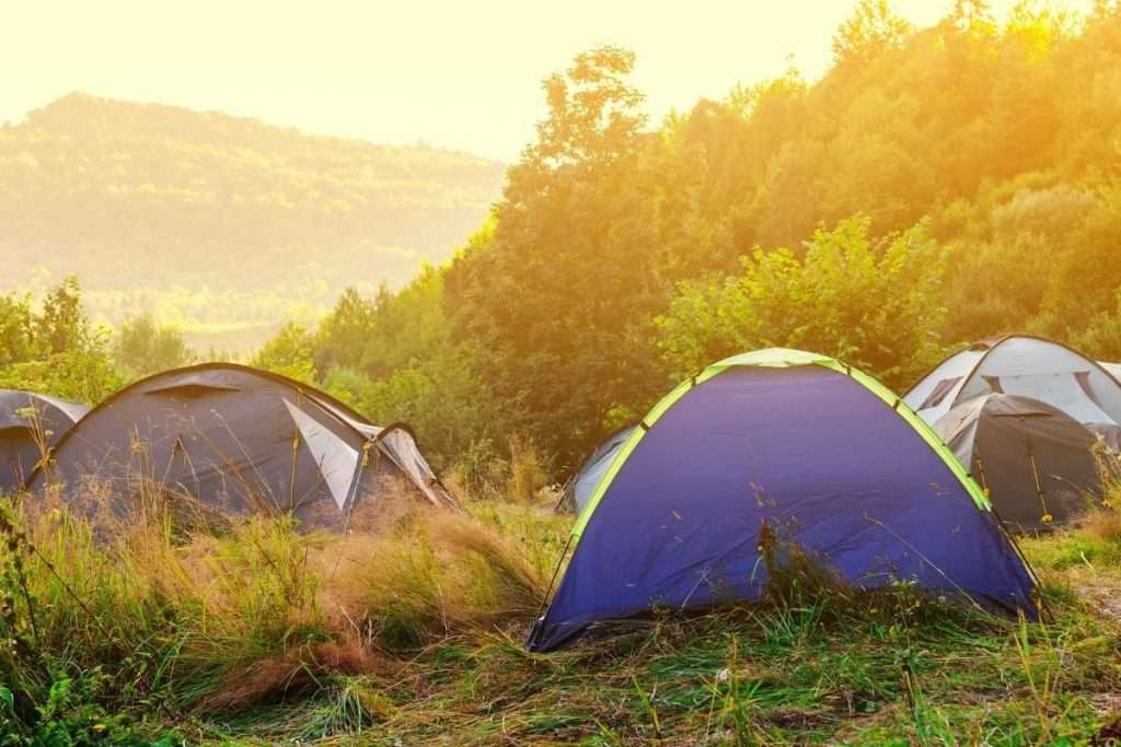 Decoding the Distinctions: 3-Season vs. 4-Season Tents