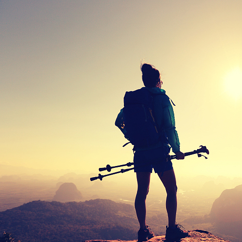 Trekking Poles