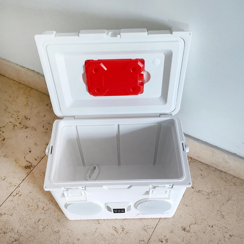 15L/20L/28L Singing Freshness-Preserving Cold Chain Speaker Cooler